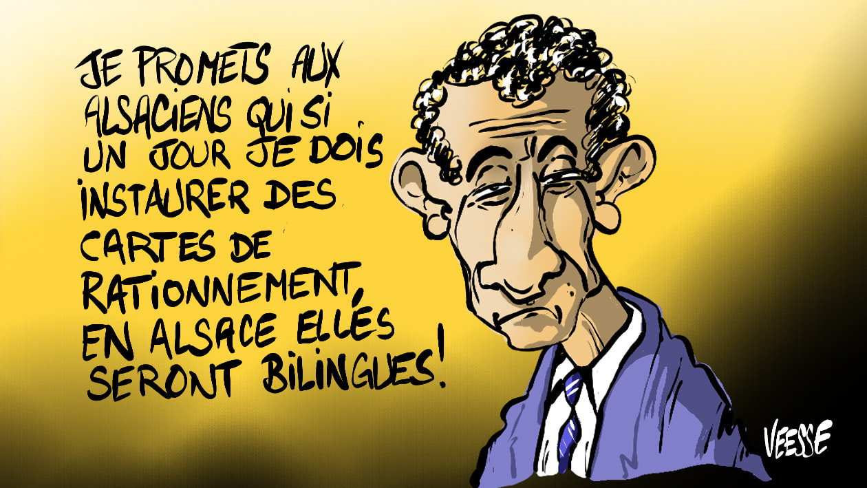 Y a-t-il un LR pour sauver l'Alsace ?